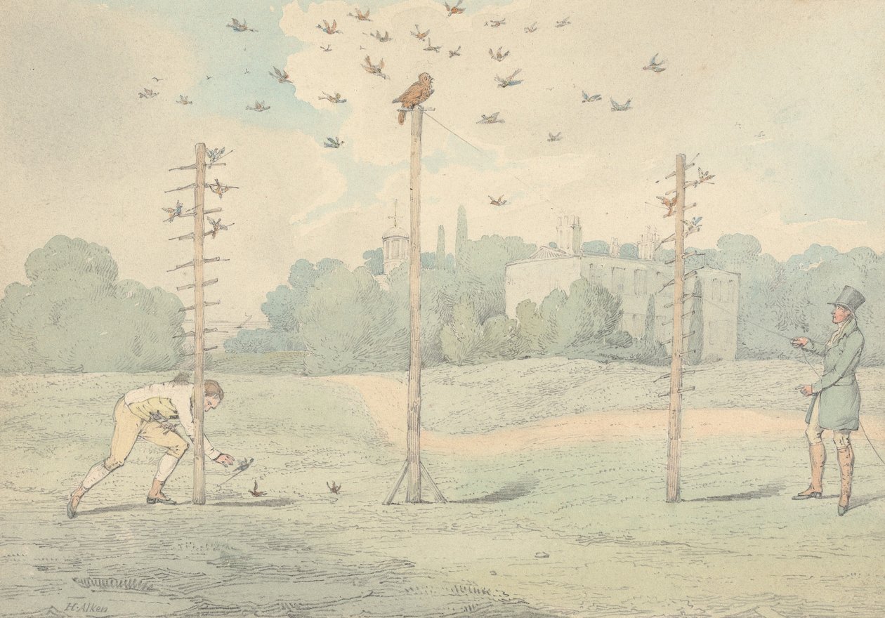 "Gli sport nazionali della Gran Bretagna", 1821: la caccia al gufo da Henry Thomas Alken