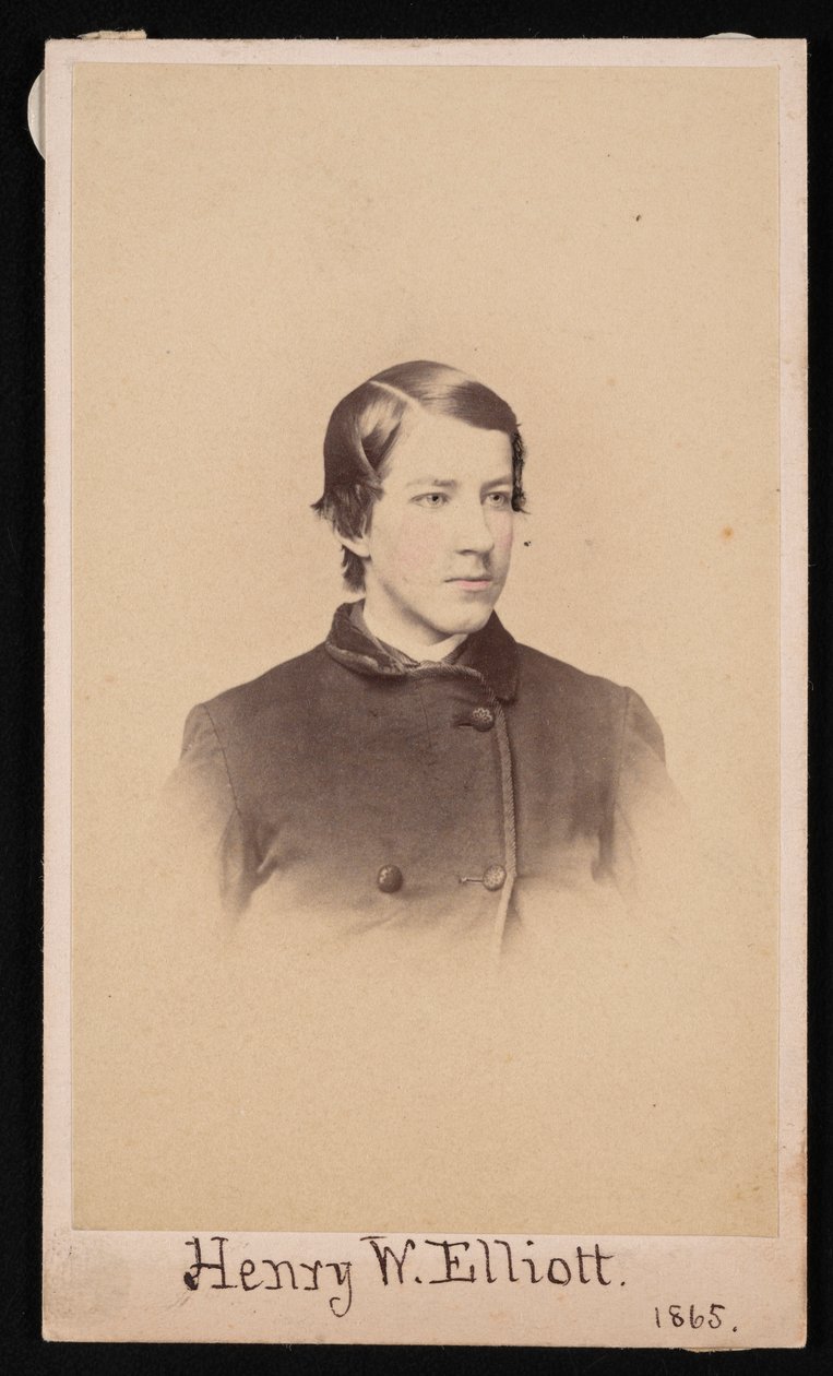 Ritratto di Henry Wood Elliott da Henry Ulke