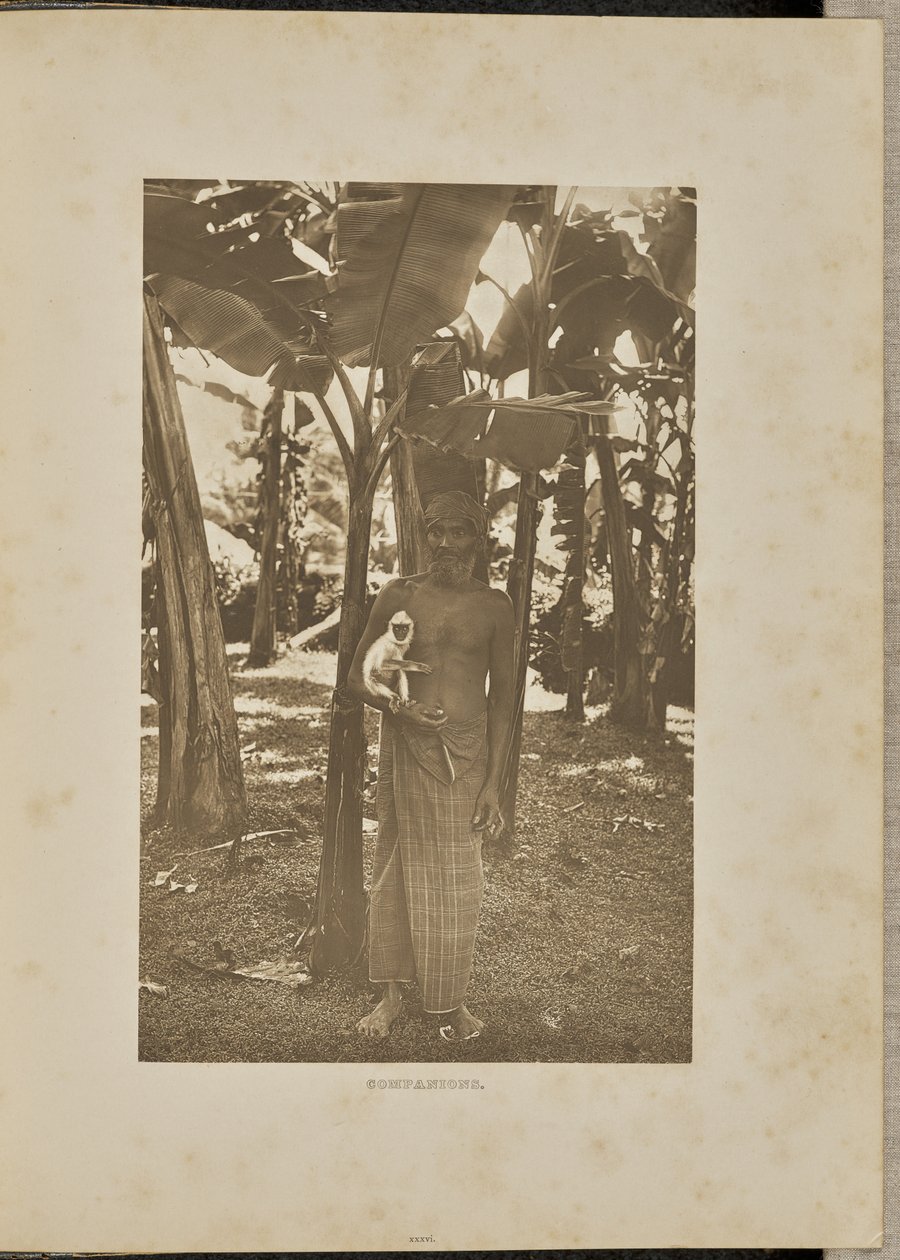 Compagni da Henry W. Cave