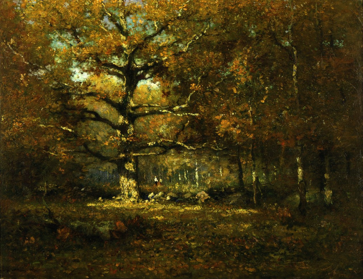 Boschi del Connecticut da Henry Ward Ranger