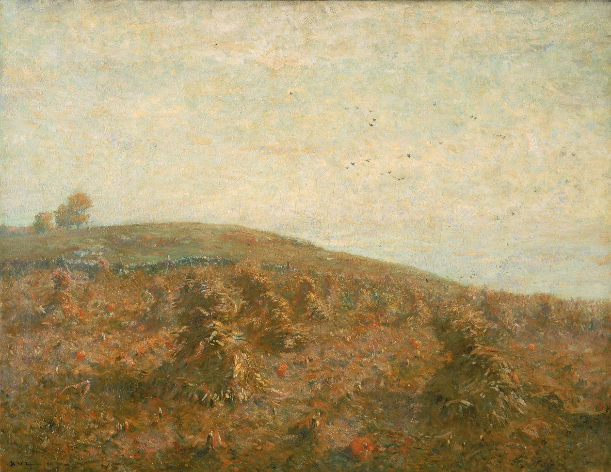 Il Campo di Grano da Henry Ward Ranger