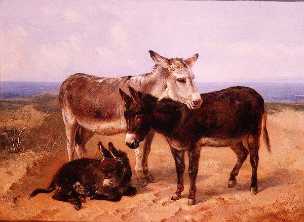 Asini di sabbia da Henry Weekes