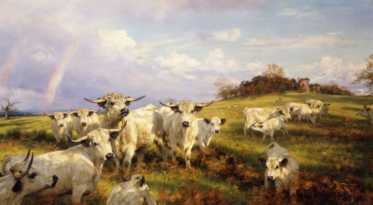 Bovini Selvatici di Chartley, Castello di Chartley sullo Sfondo, 1902 da Henry William Banks Davis