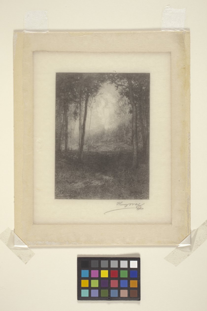 Negli Adirondacks da Henry Wolf
