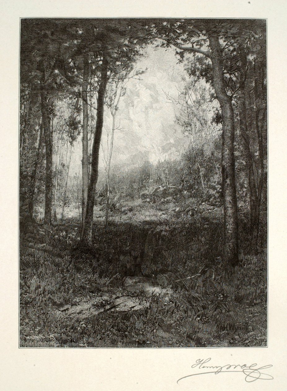 Negli Adirondack da Henry Wolf