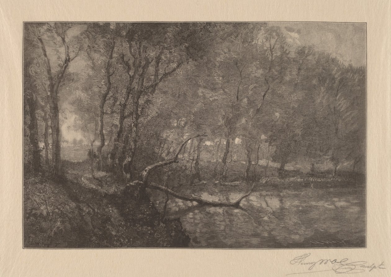 Lo stagno del mulino da Henry Wolf