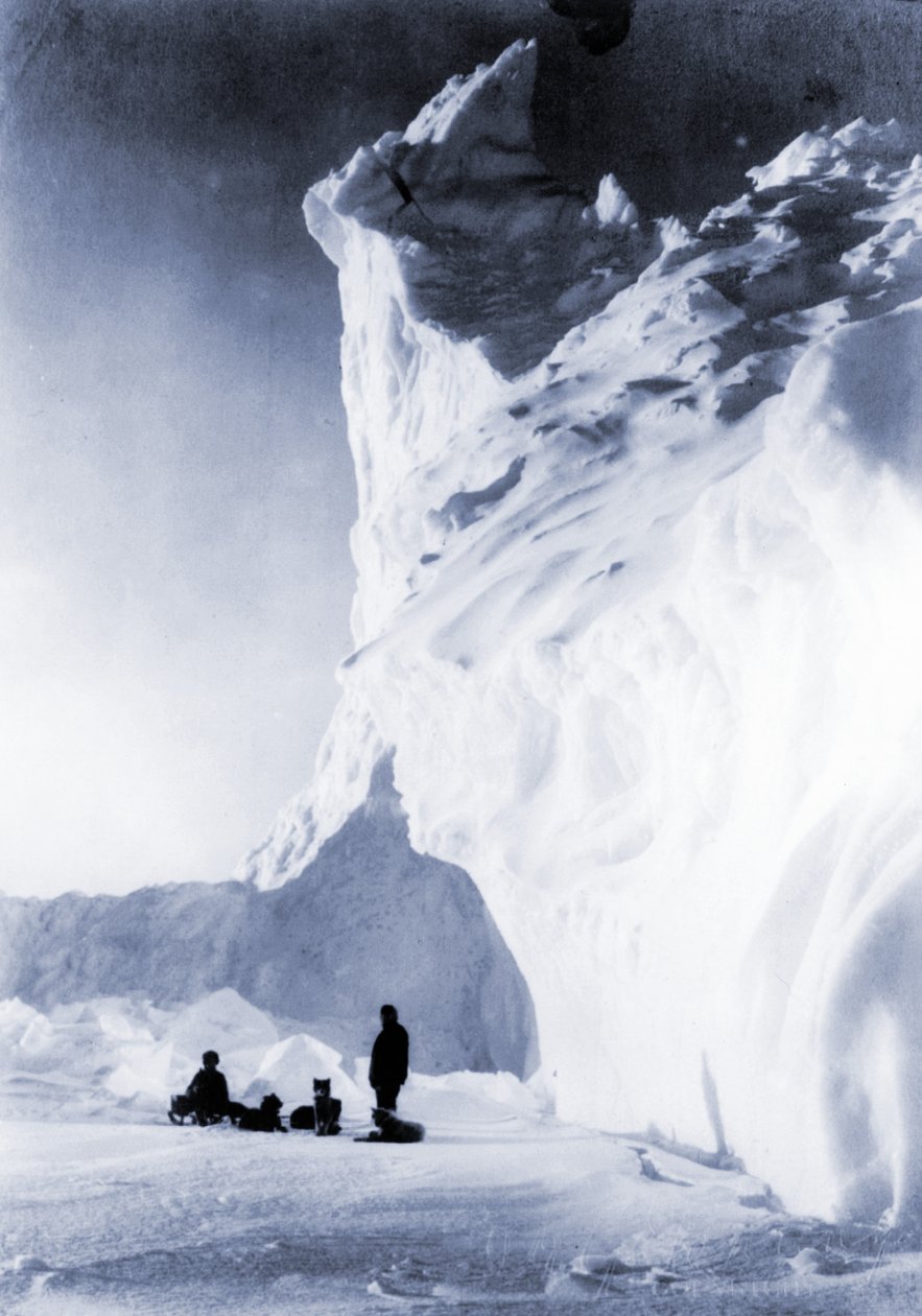 Squadra di cani a riposo durante la spedizione Terra Nova, 1910 da Herbert Ponting