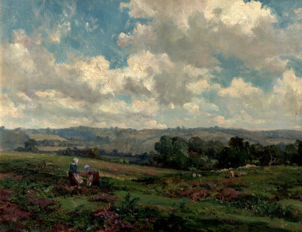 Campi nel Surrey, 1890 da Herbert Hughes Stanton