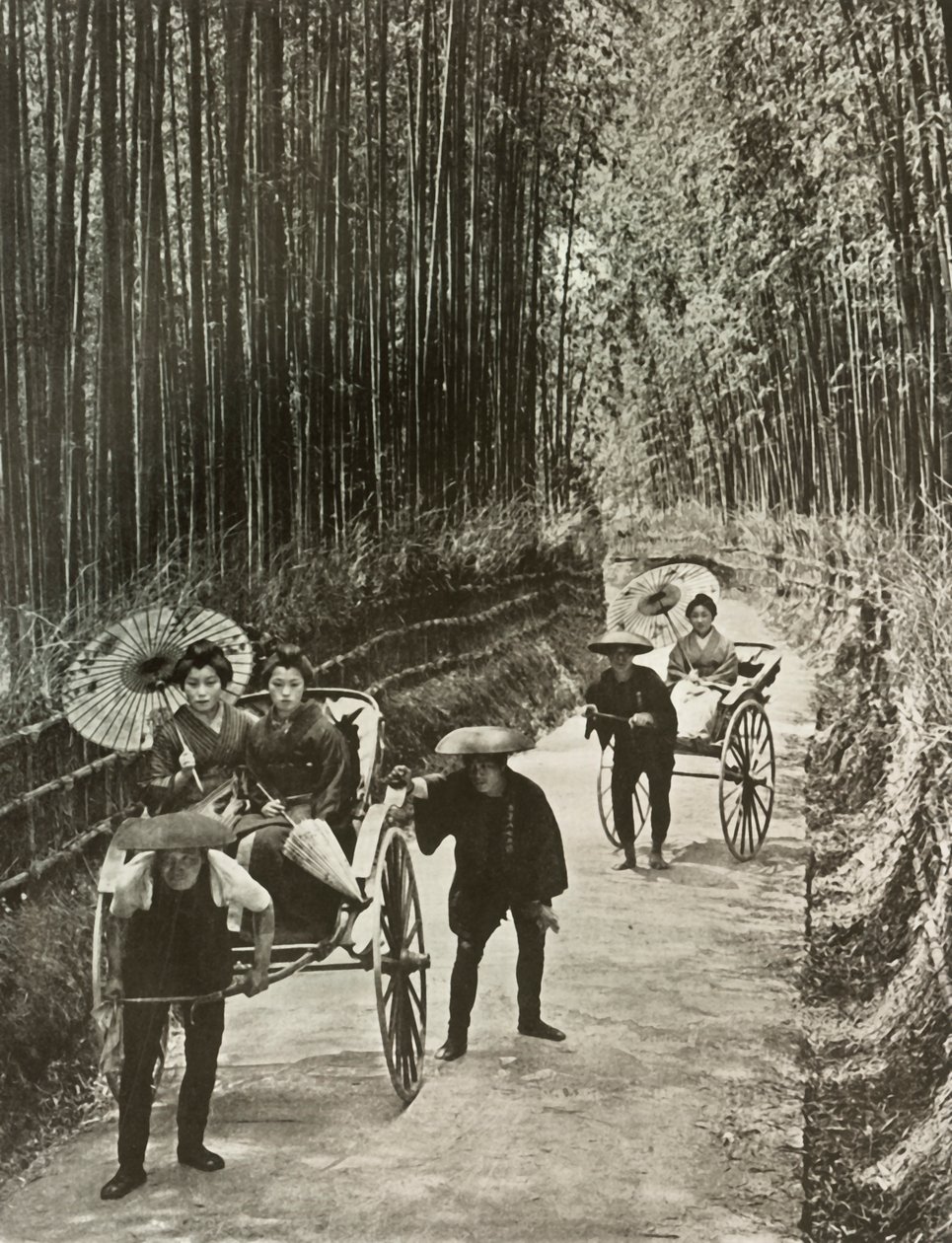 Un viale di bambù a Kyoto da Herbert Ponting