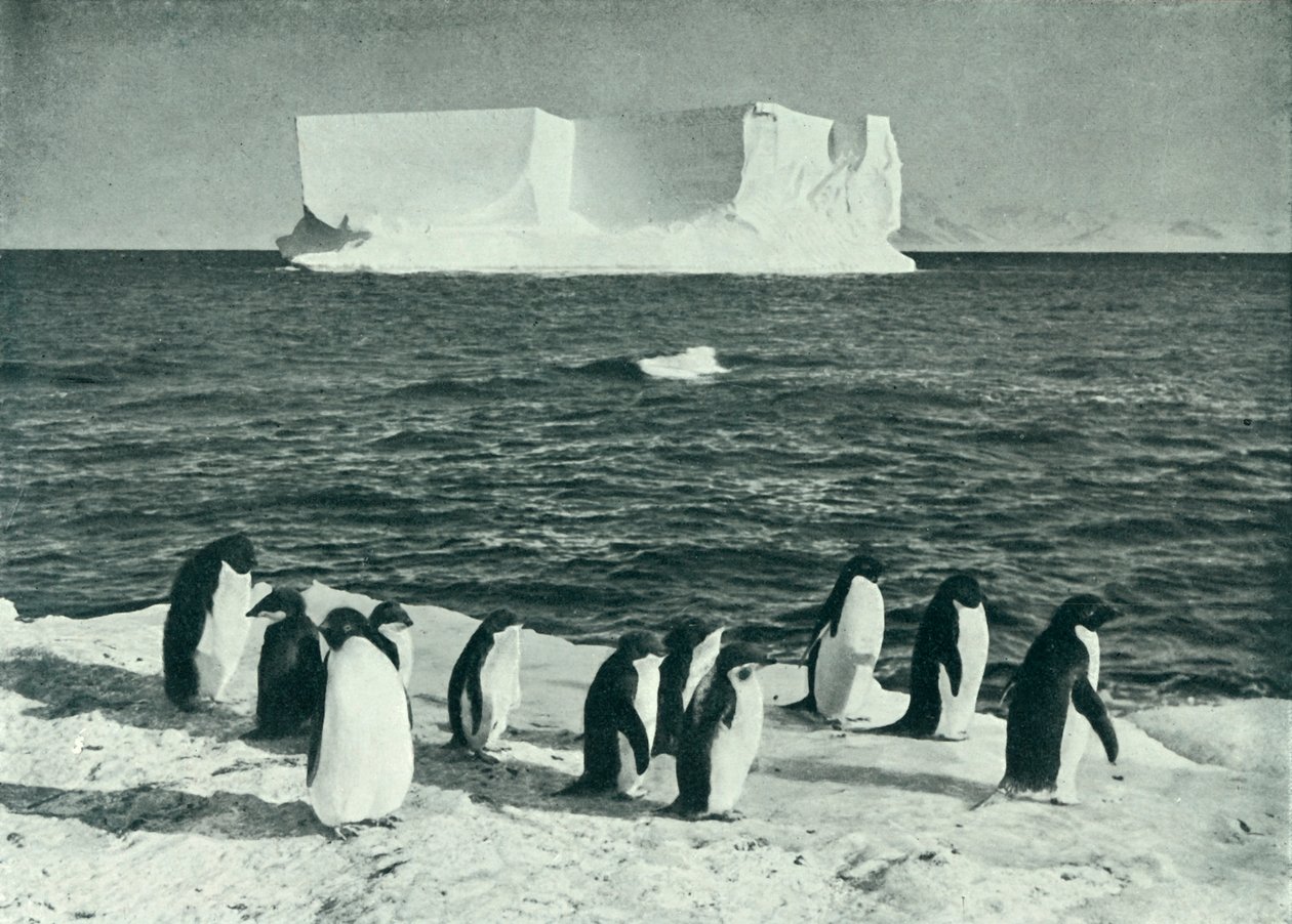 Un iceberg alla deriva nel McMurdo Sound da Herbert Ponting