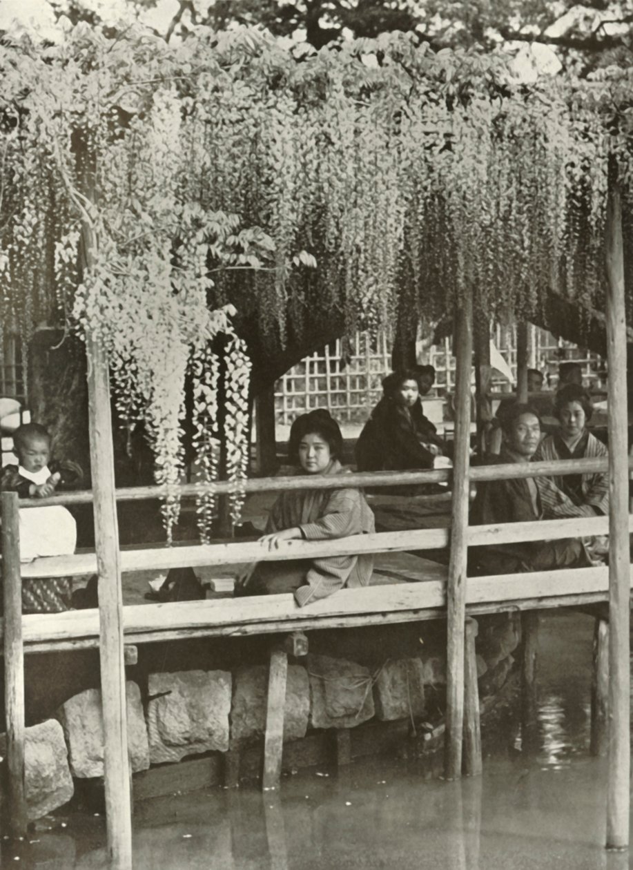 Un pergolato di glicine a Kameido da Herbert Ponting