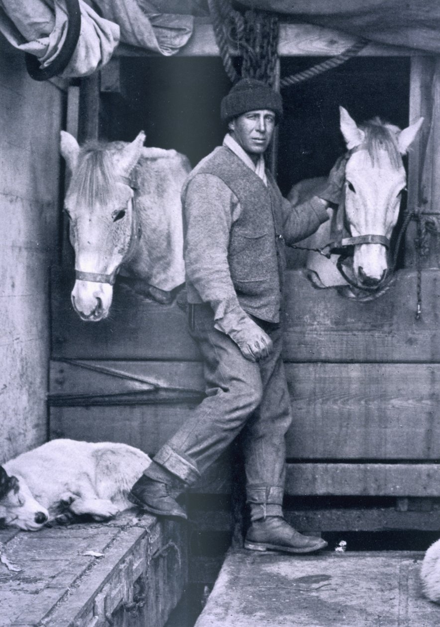 Cap. Oates e due dei pony sulla Terra Nova, da 