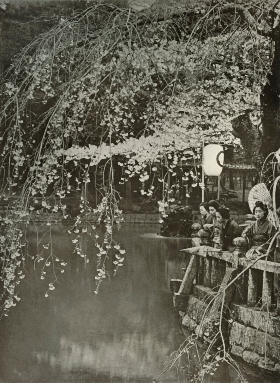 Tempo di fioritura dei ciliegi in Giappone, 1910 da Herbert Ponting
