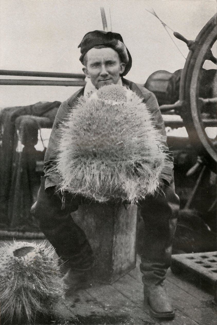 D. G. Lillie, con alcune delle spugne silicee, c1911, 1913 da Herbert Ponting