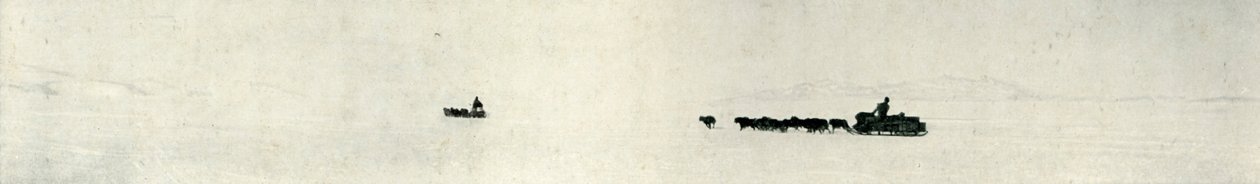 Cani che galoppano verso la barriera, c1911, 1913 da Herbert Ponting