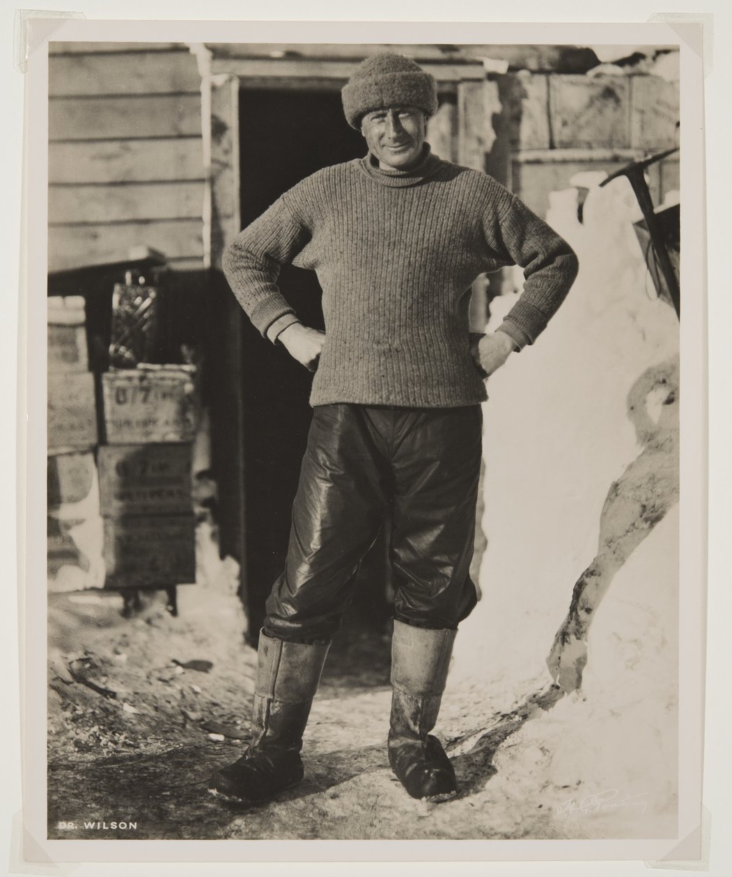 Dr. Wilson della spedizione 