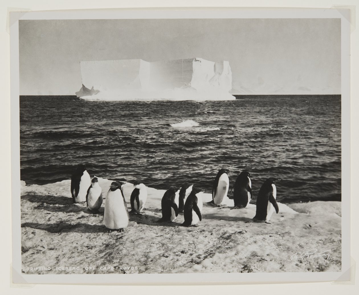 Iceberg alla deriva al largo di Cape Royds da Herbert Ponting