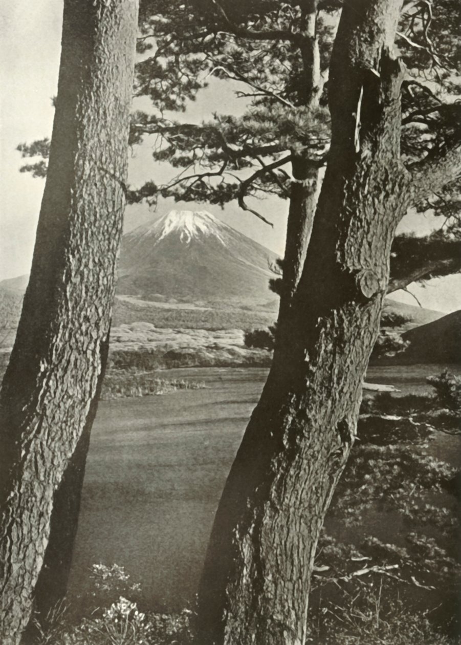 Il Monte Fuji attraverso i pini del Lago Motosu, 1910 da Herbert Ponting
