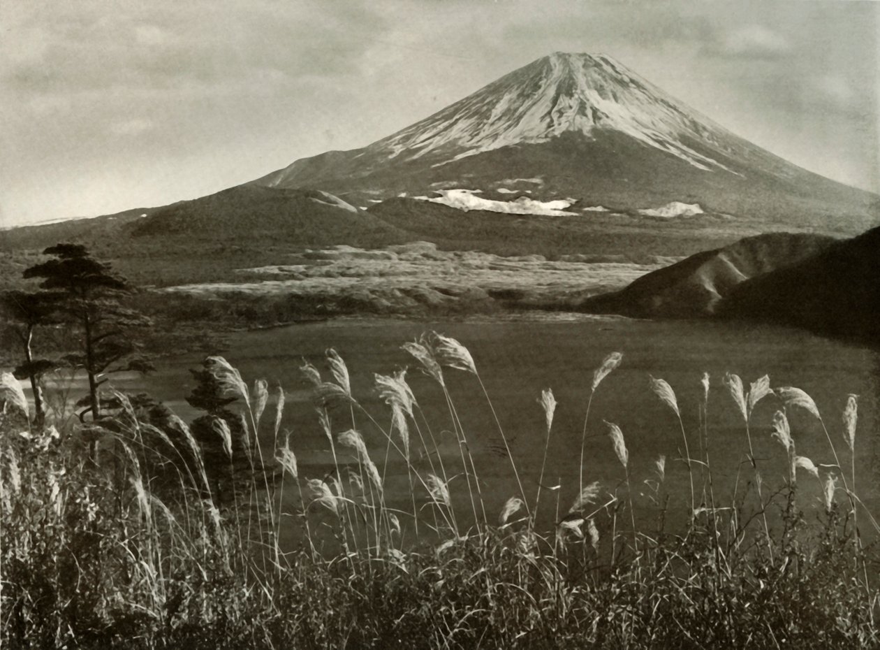 Fuji e l