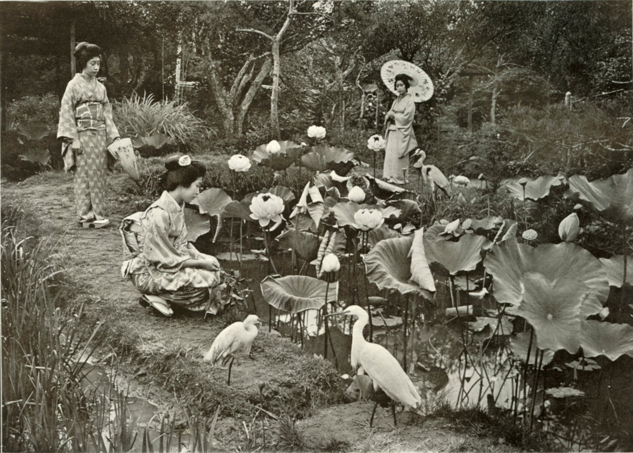 Nella Terra dei Loti, 1910 da Herbert Ponting
