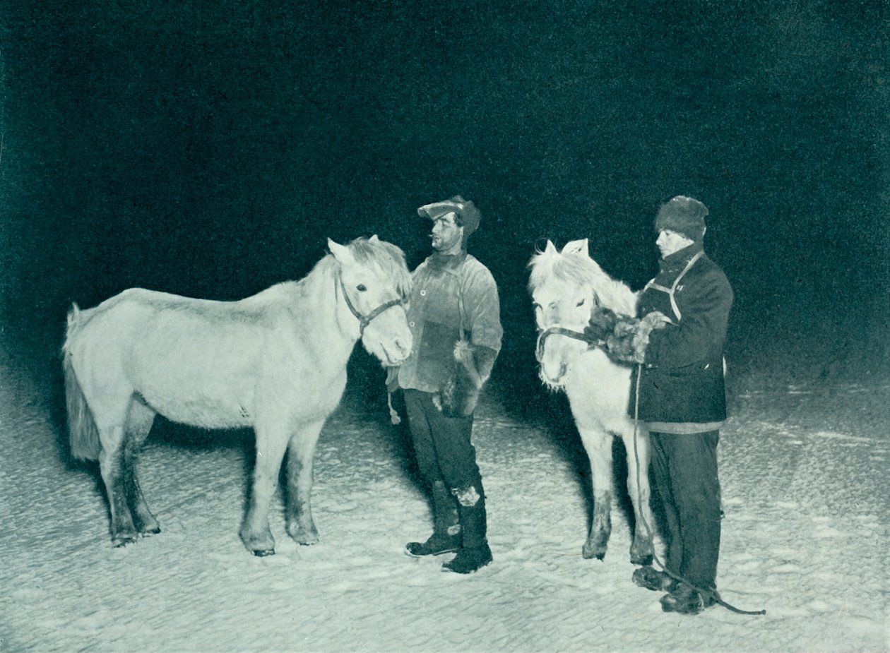 Sottufficiali Crean ed Evans che esercitano i loro pony in inverno, 1911 da Herbert Ponting