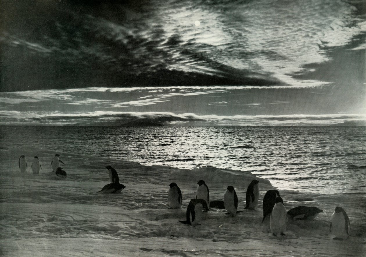Il Sole di Mezzanotte nel McMurdo Sound, c1910-1913, 1913 da Herbert Ponting