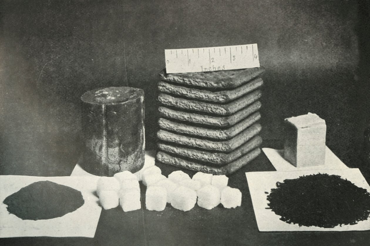 Razione di slitta della spedizione polare: pemmican, biscotti, burro, cacao, zucchero e tè, 1911 da Herbert Ponting
