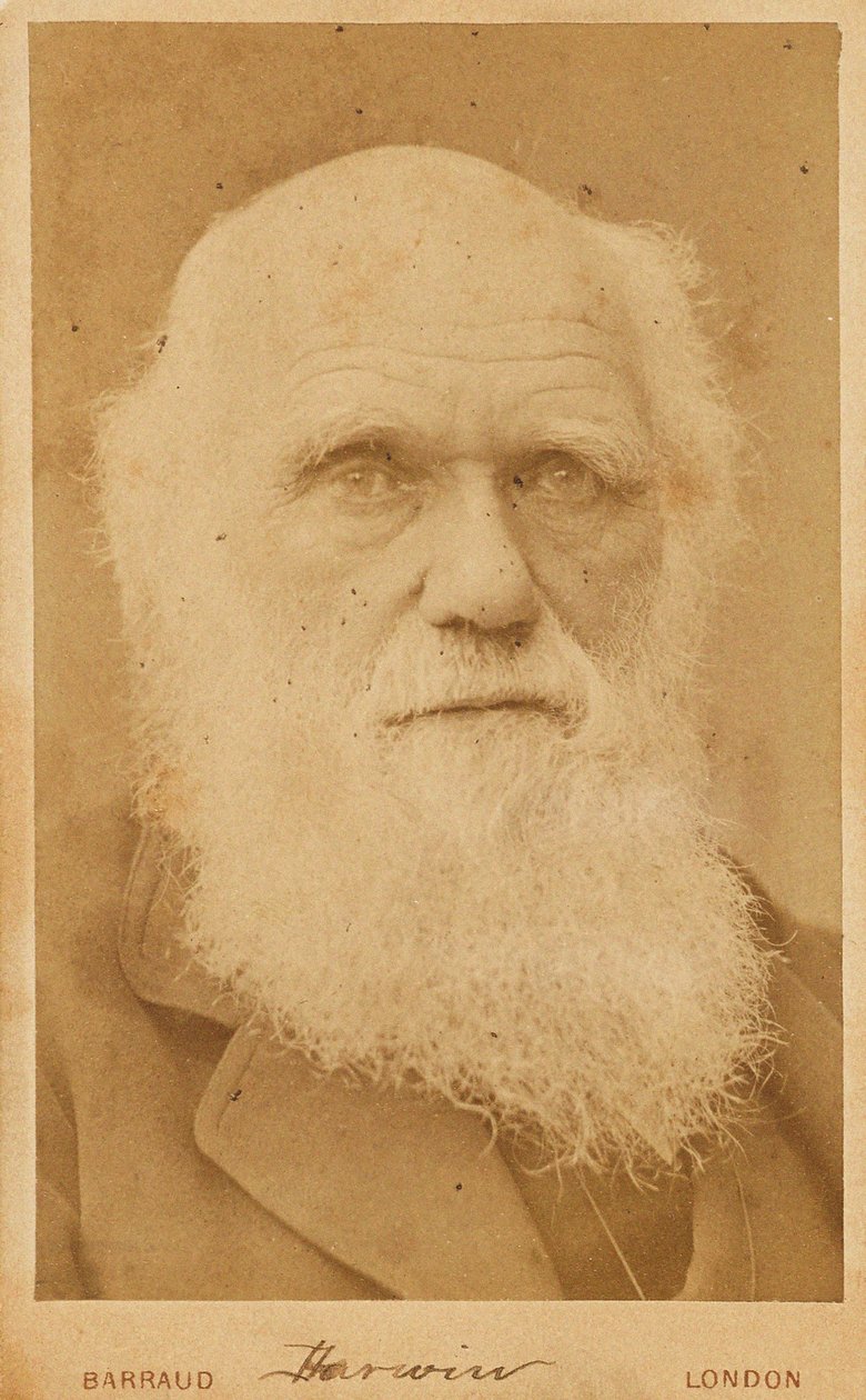 Ritratto di Charles Darwin, 1881 da Herbert Rose Barraud
