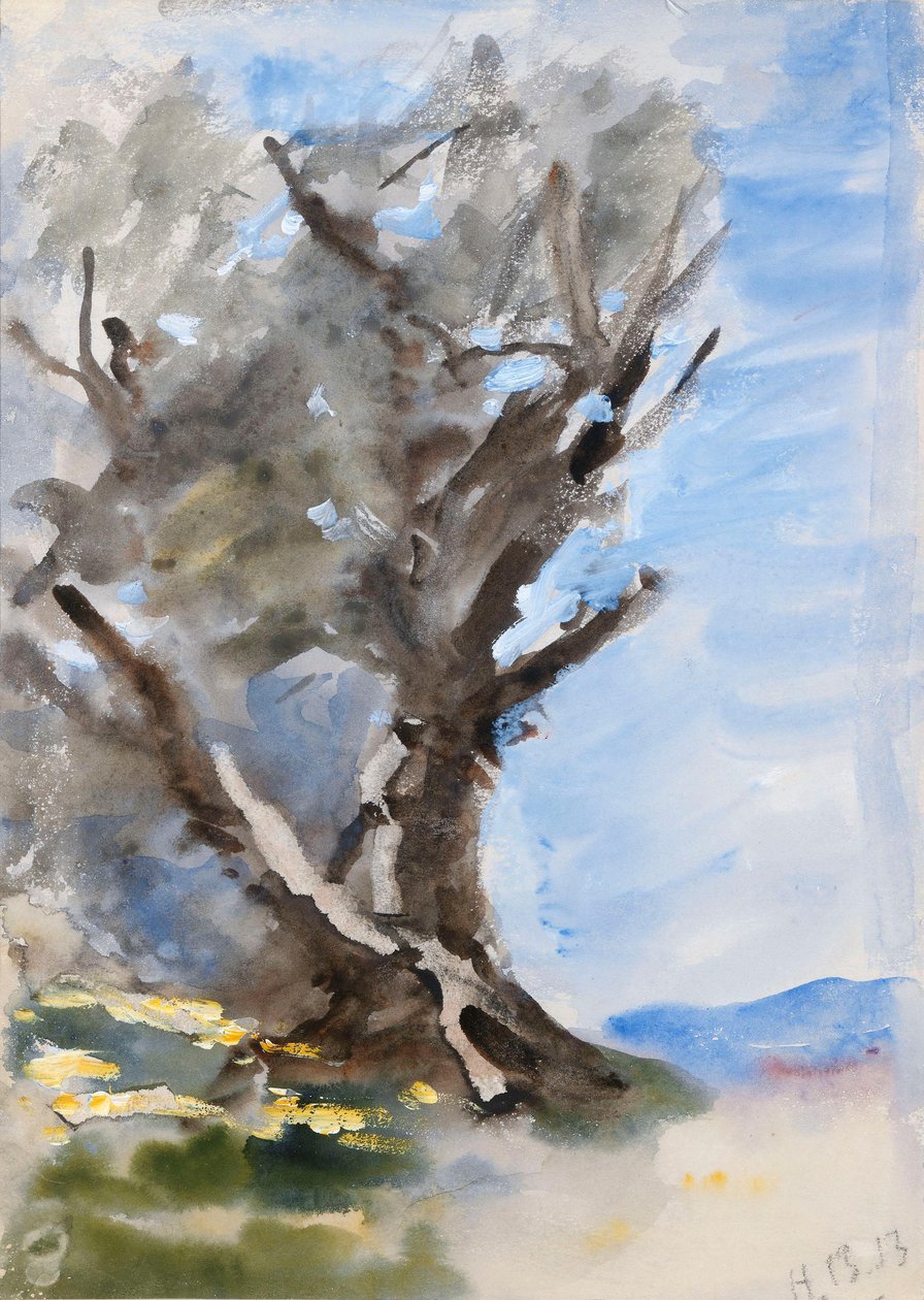 Un albero da Hercules Brabazon Brabazon