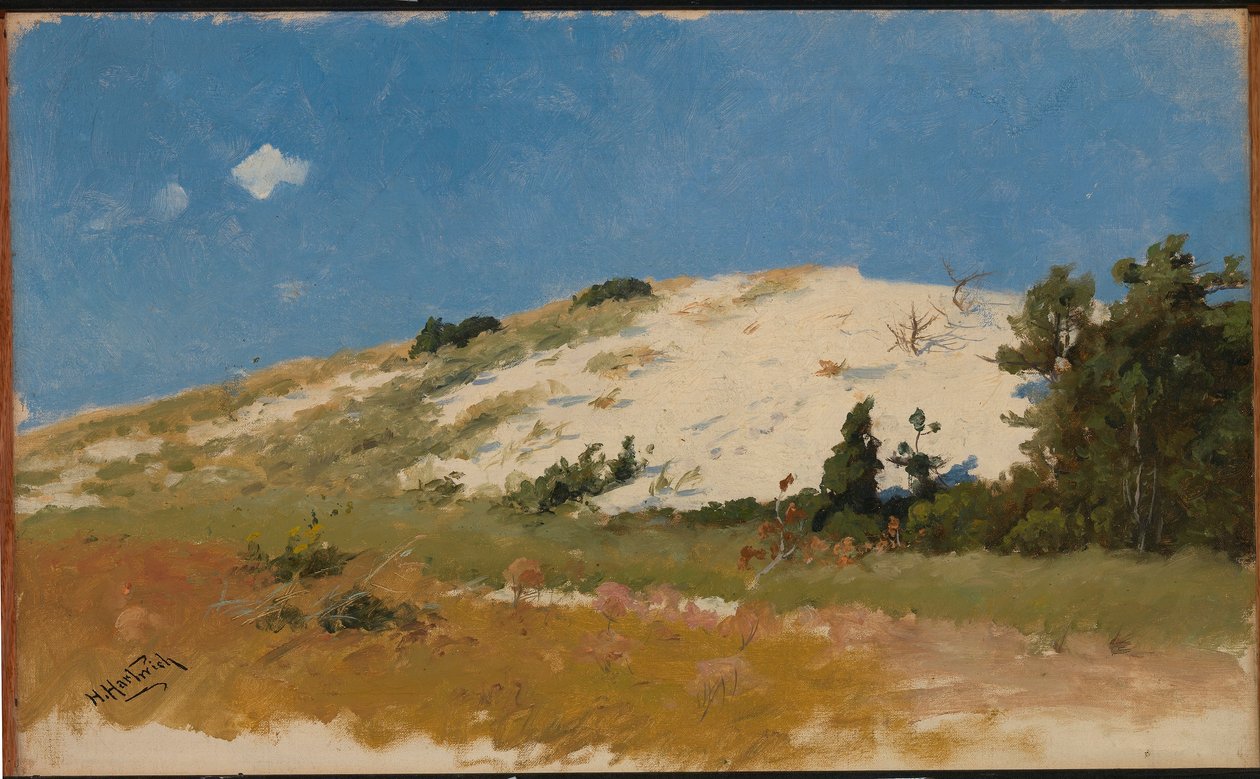 Cape Cod, Duna di sabbia da Herman Hartwich