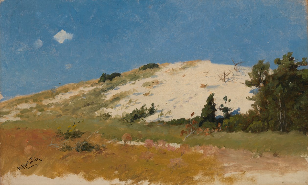 Cape Cod, duna di sabbia, 1894 da Herman Hartwich