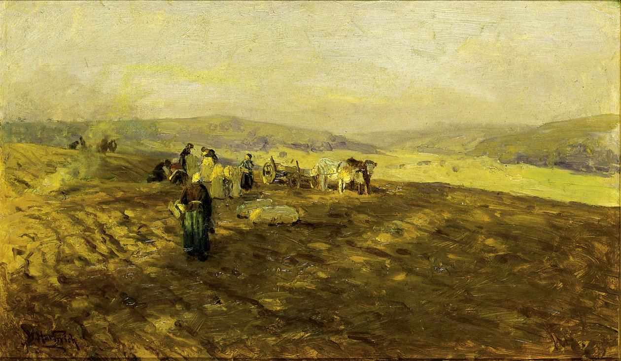 Raccoglitori di patate, n.d. da Herman Hartwich