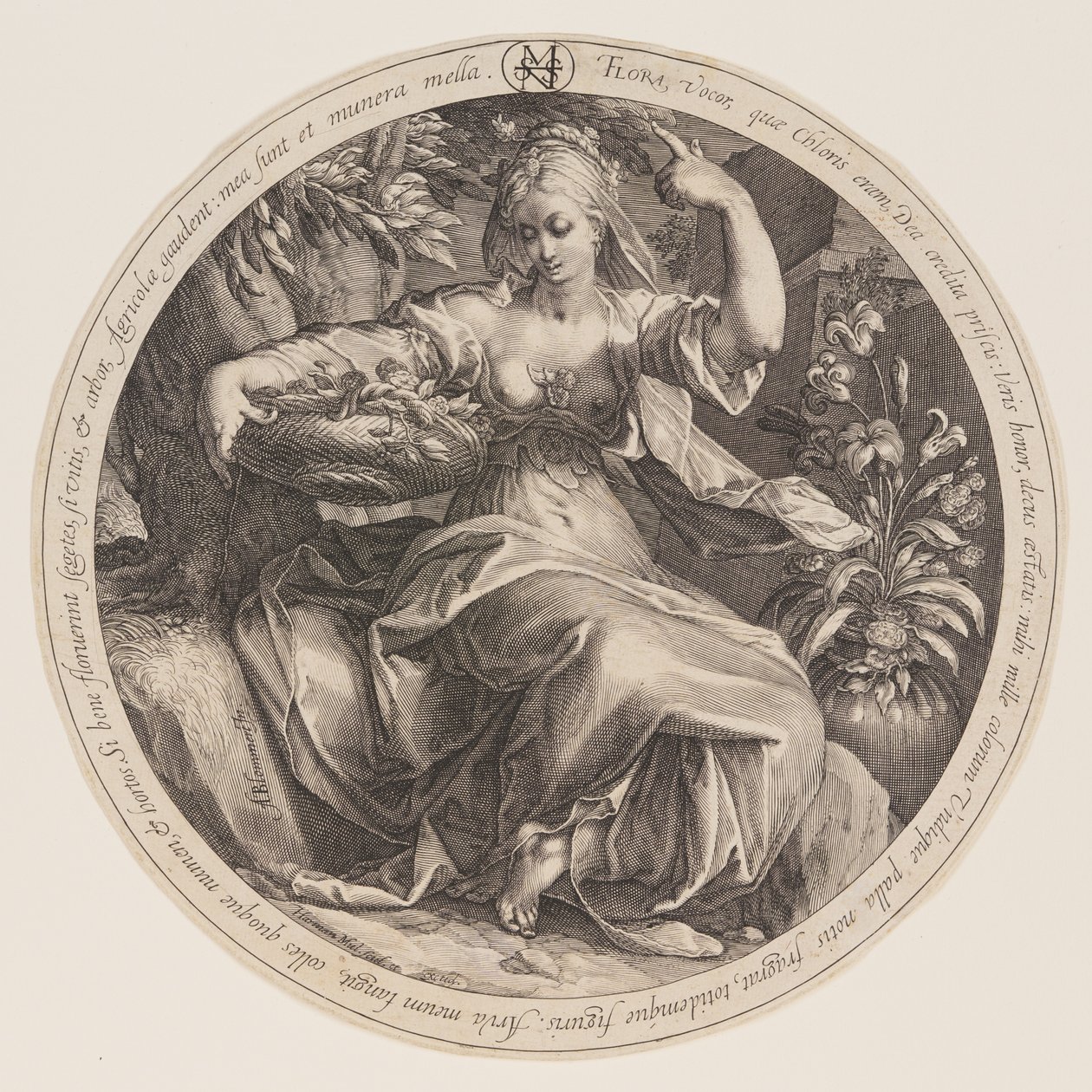 Flora da Herman Jansz. Muller