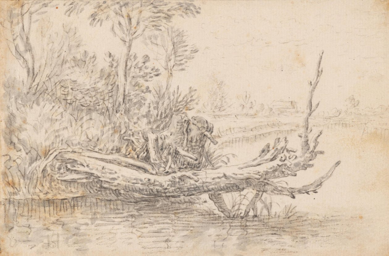 Un albero caduto sulla riva dell