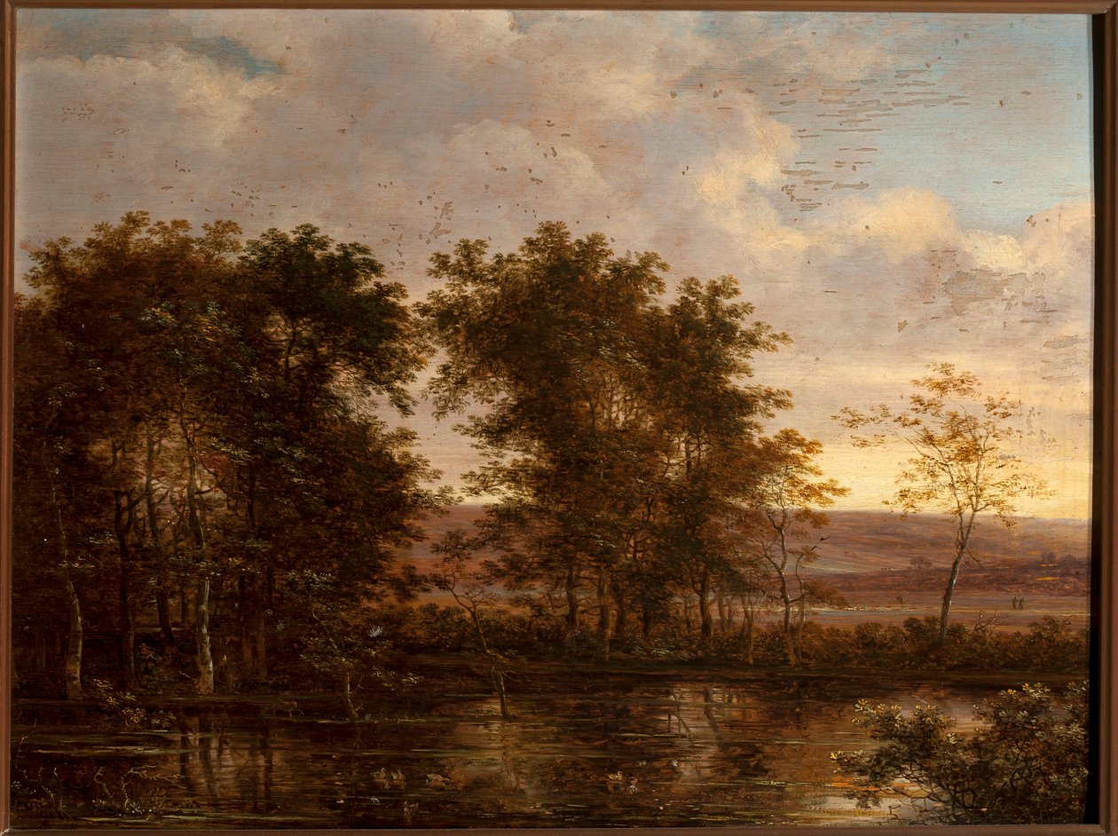 Caccia alle anatre da Herman Saftleven