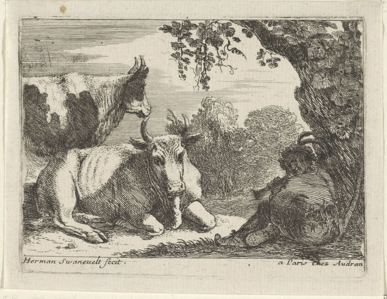 Mucche da Herman van Swanevelt