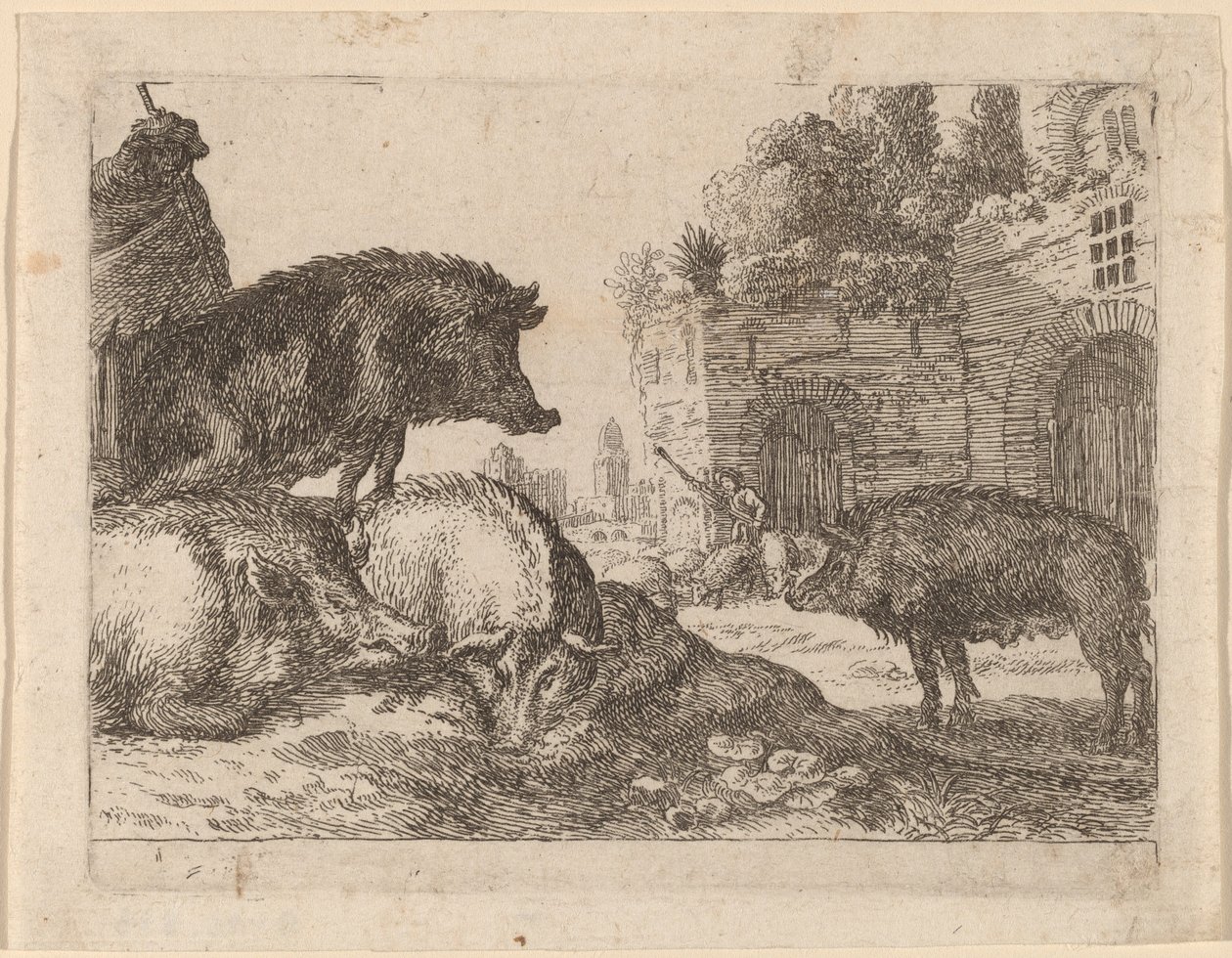 Maiali da Herman van Swanevelt