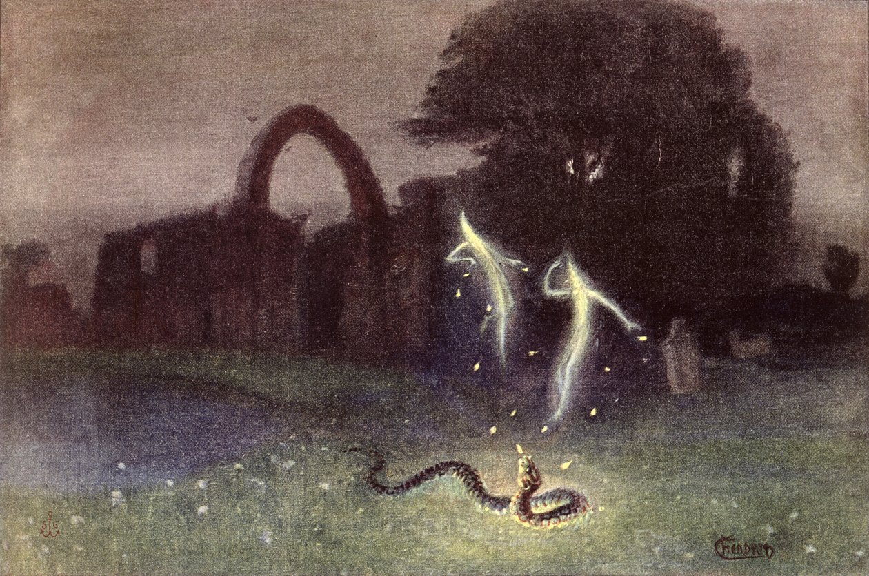 Fuoco fatuo e Serpente da Hermann Hendrich