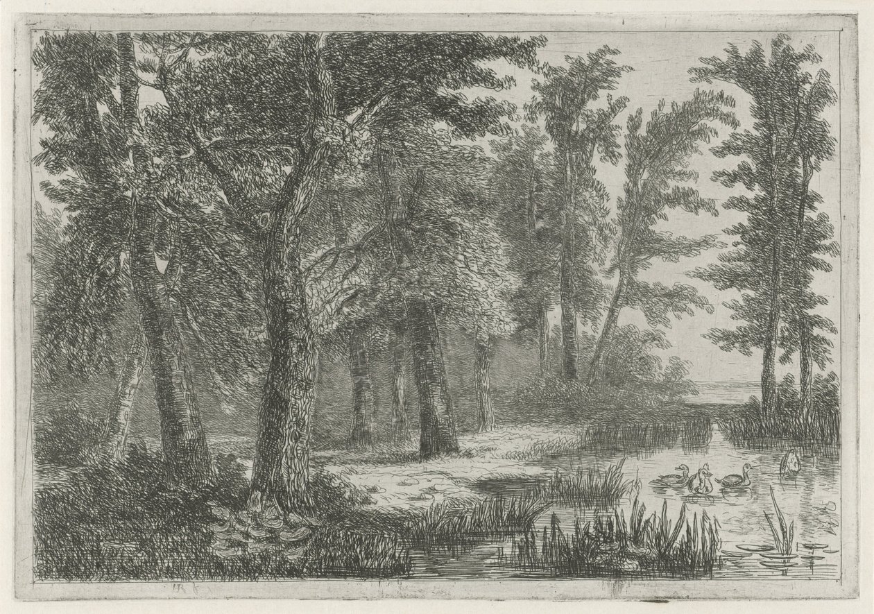 Paesaggio boschivo con uno stagno con anatre da Hermanus Jan Hendrik van Rijkelijkhuysen