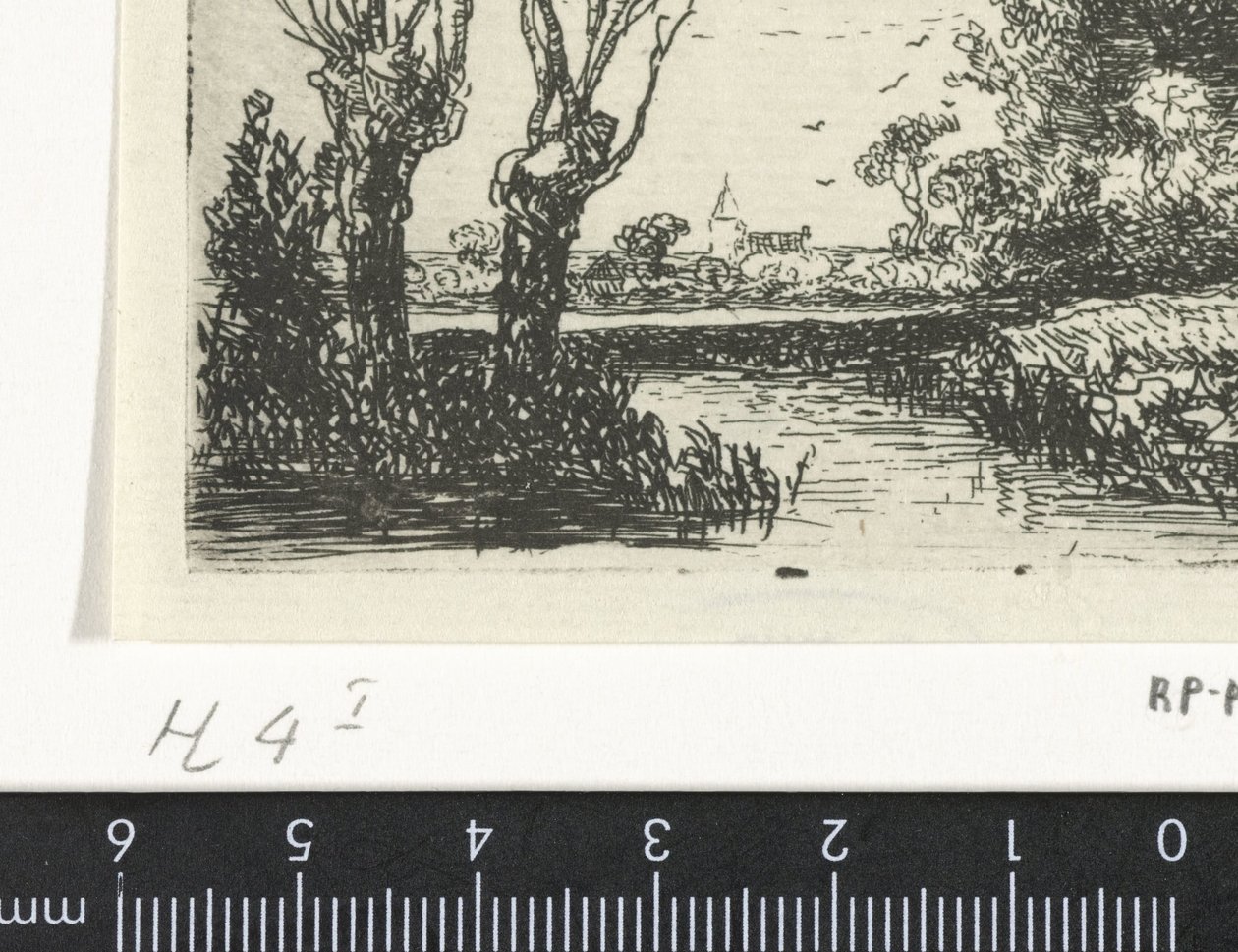 Paesaggio con due salici da Hermanus Jan Hendrik van Rijkelijkhuysen