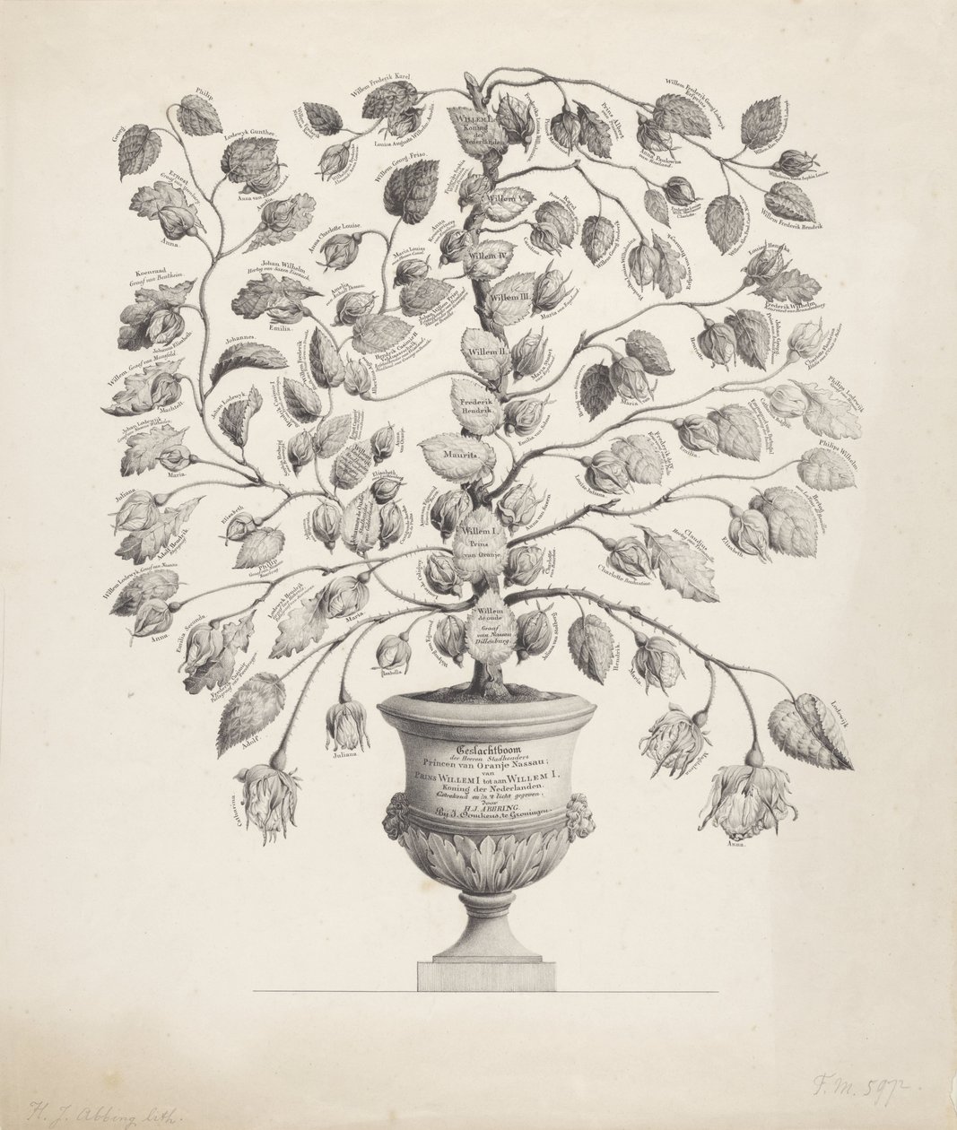 Albero genealogico della Casa d
