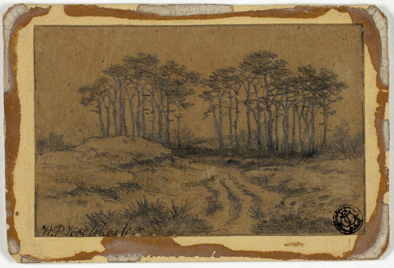 Sentiero tra gli alberi da Hermanus Koekkoek