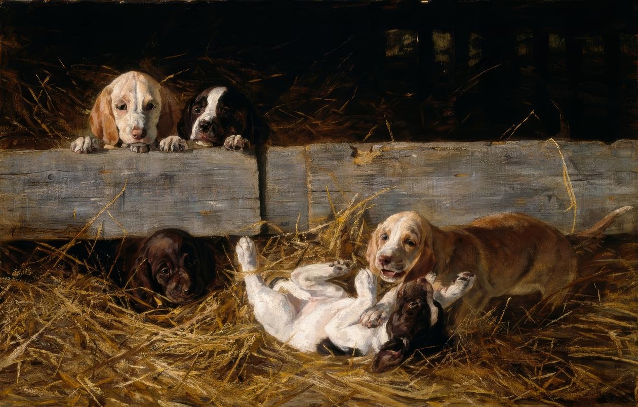 Cuccioli che giocano da Hermine Biedermann Arendt