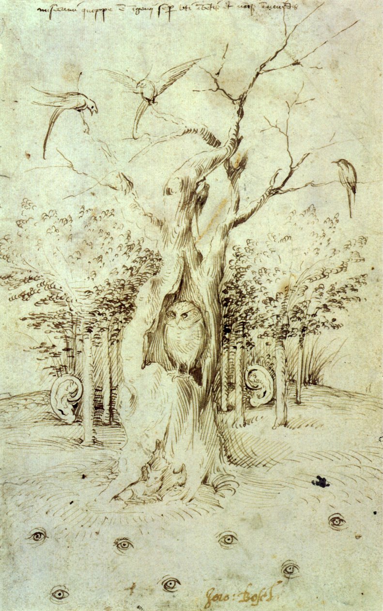 La foresta che ascolta e il campo che vede da Hieronymus Bosch