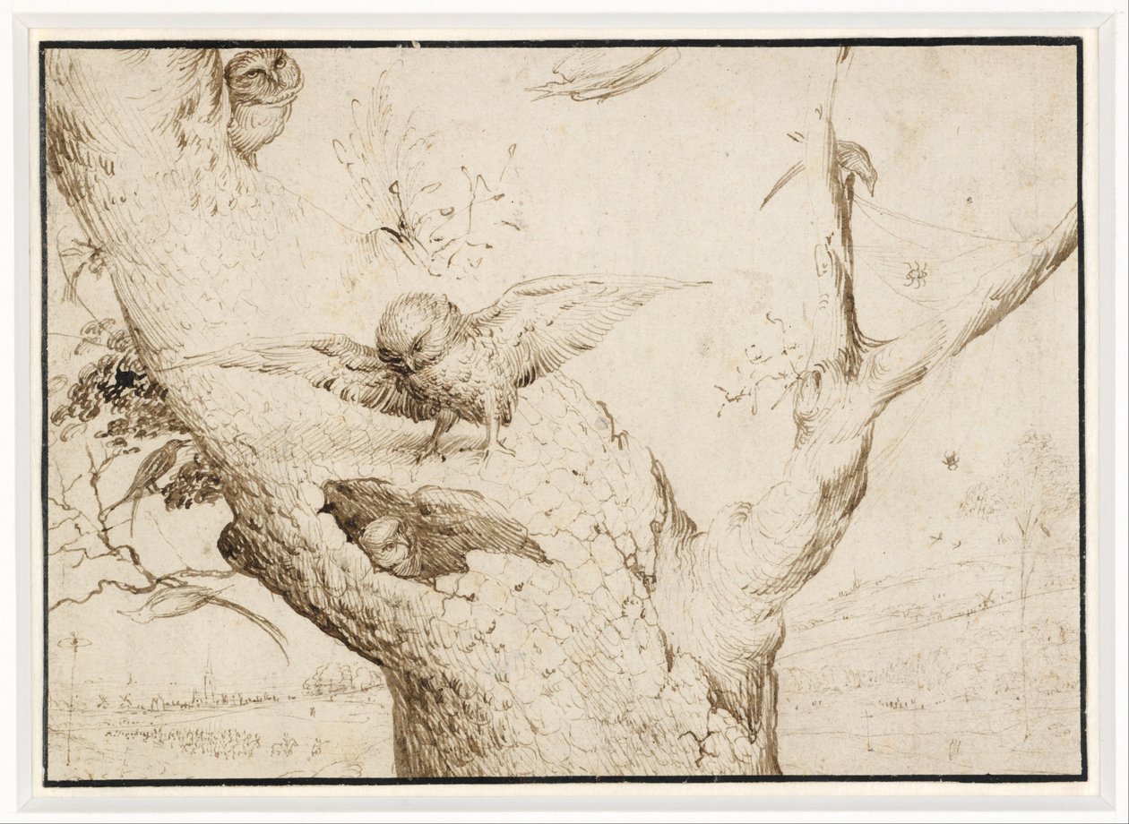 Il nido del gufo da Hieronymus Bosch