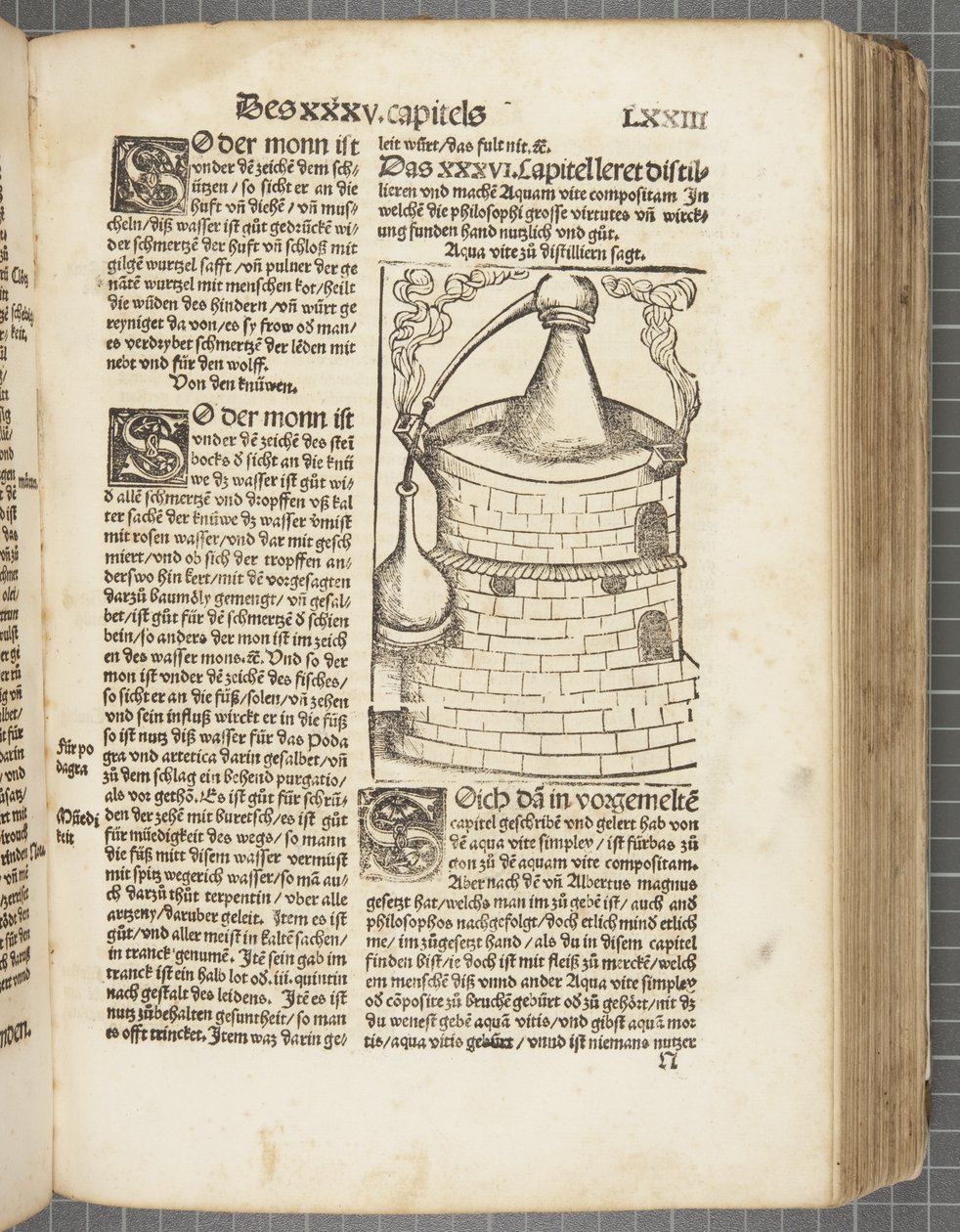 Il libro della distillazione da Hieronymus Brunschwig