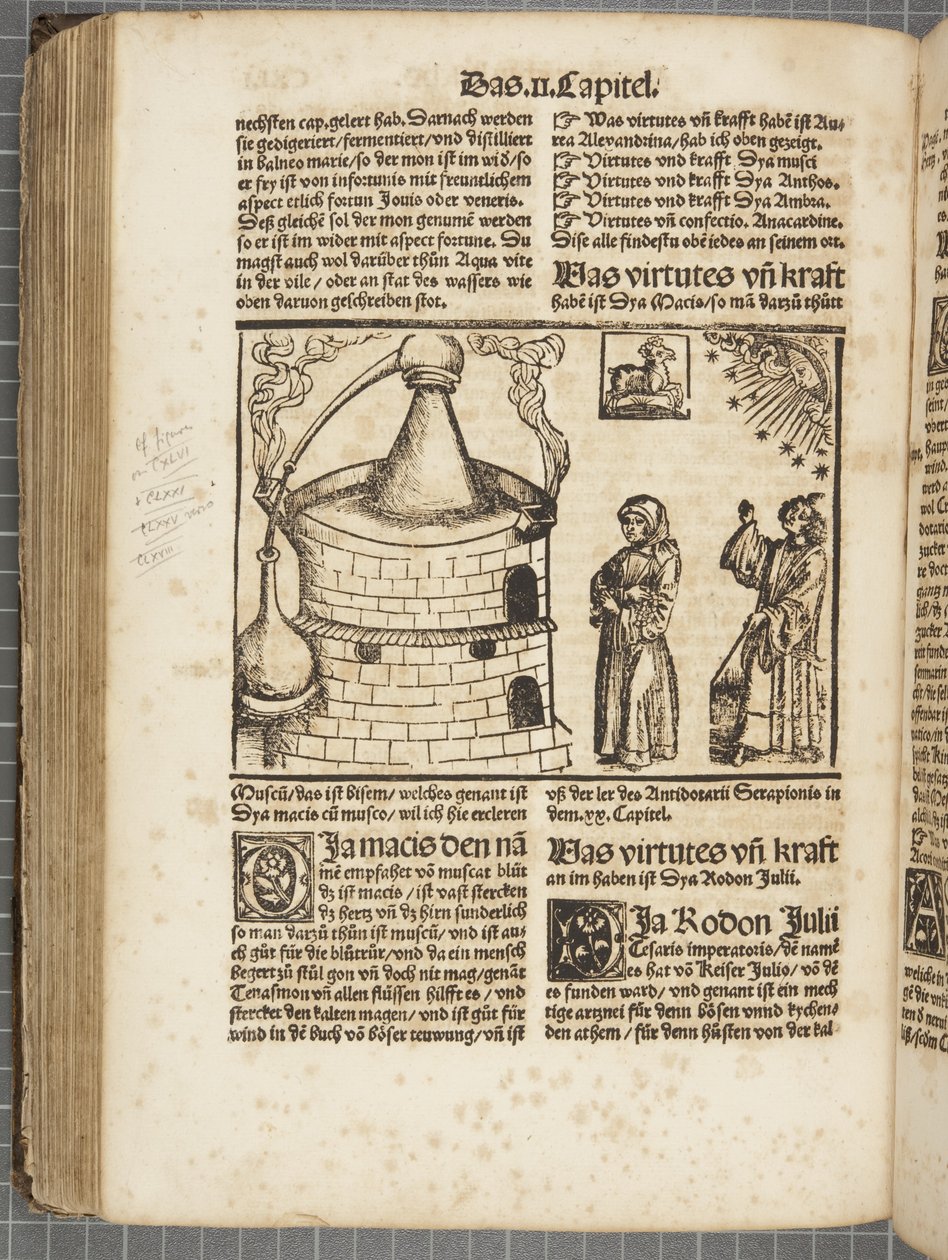 Il libro della distillazione da Hieronymus Brunschwig