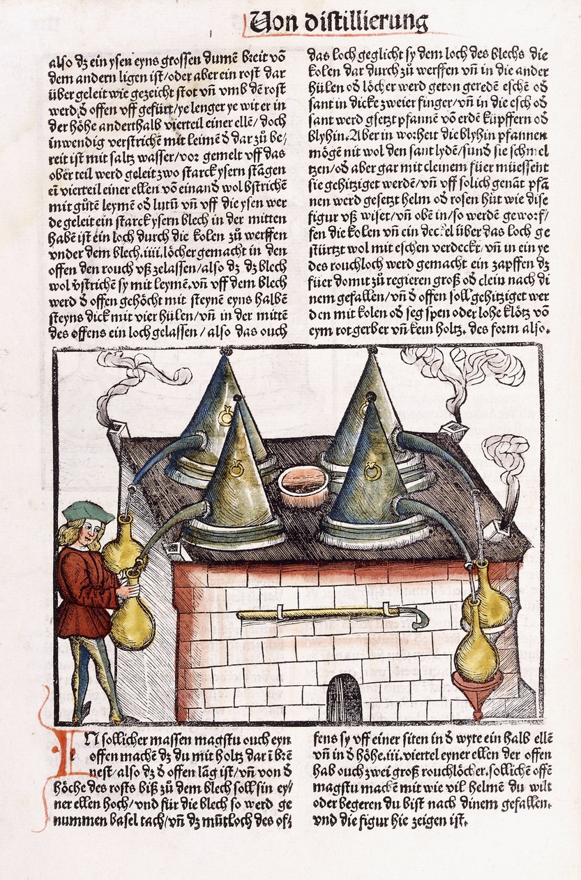 Illustrazione di una distilleria di fine XV secolo per estrarre gli oli essenziali dalle piante, 1500 da Hieronymus Brunschwig