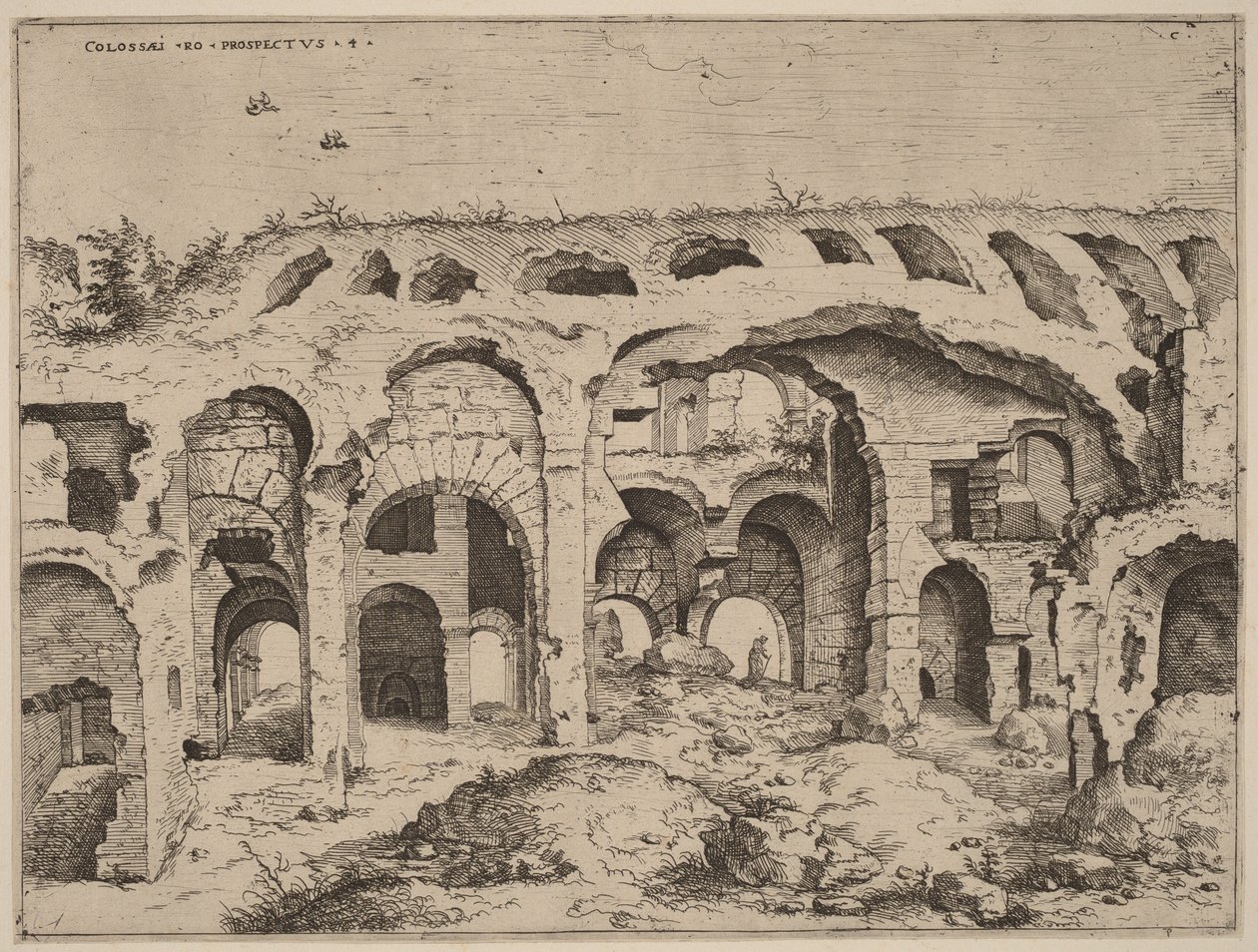 Quarta veduta del Colosseo da Hieronymus Cock