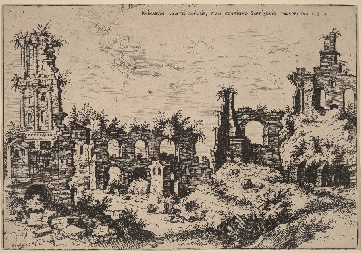 Rovine sul Palatino con il Septizonium da Hieronymus Cock